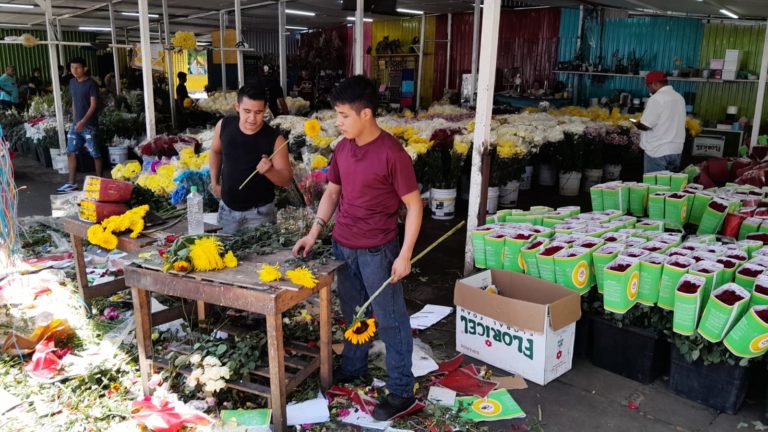 Venta de flores amarillas en Veracruz